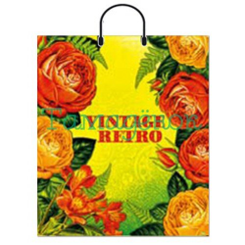 89, Пакет 40х48, 90 мкм, "Ретро-винтаж", лам. пл.руч, 4080590, 17 руб., 4080590, Интерепак, Подарочная упаковка 89, Пакет 40х48, 90 мкм, "Ретро-винтаж", лам. пл.руч, 4080590, 17 руб., 4080590, Интерепак, Подарочная упаковка