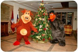 �������� ����� 14