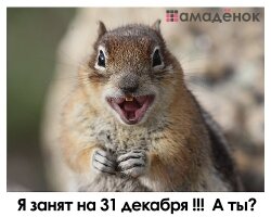 Я работаю в Новый год! А ты?_1